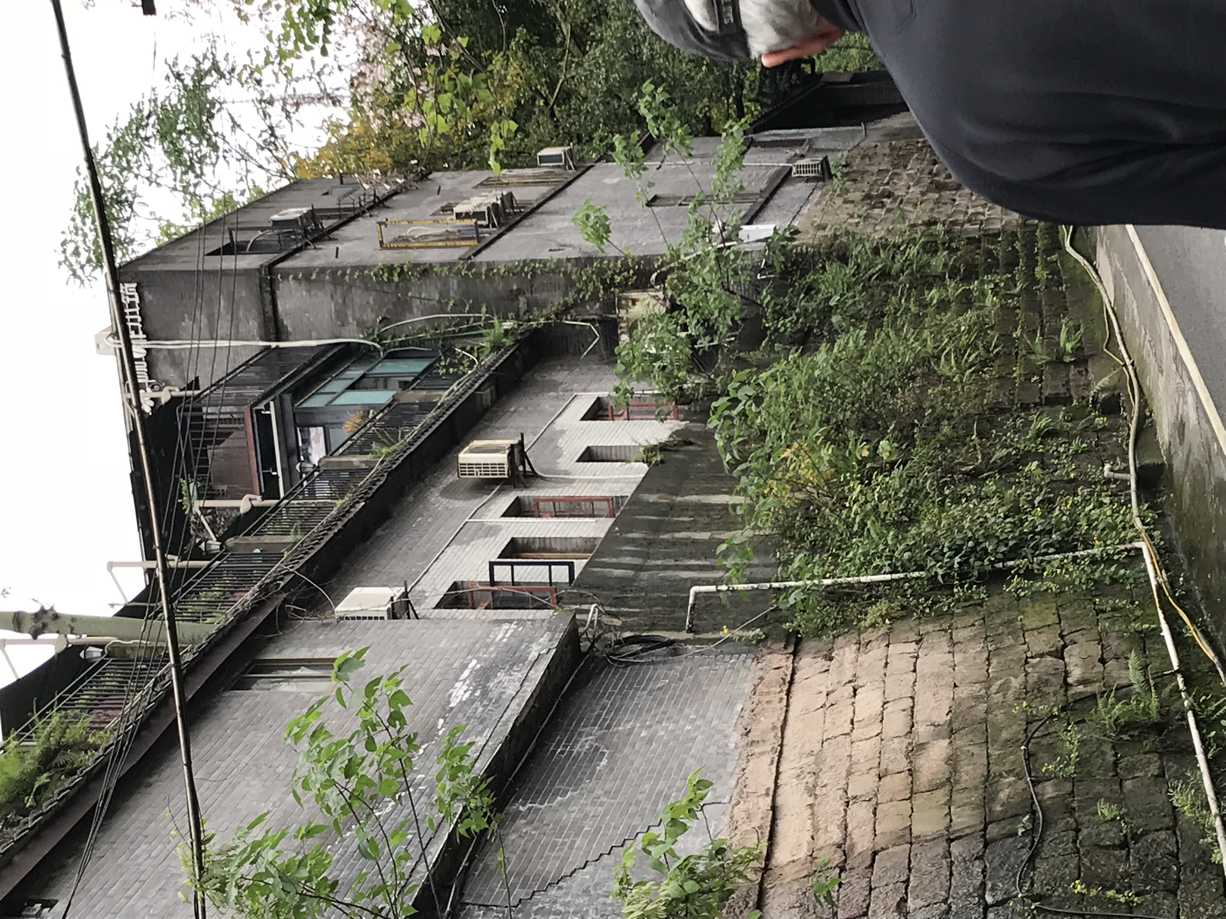 ./2018/03 - Viking China/15 - Chongqing/IMG_6936.JPG